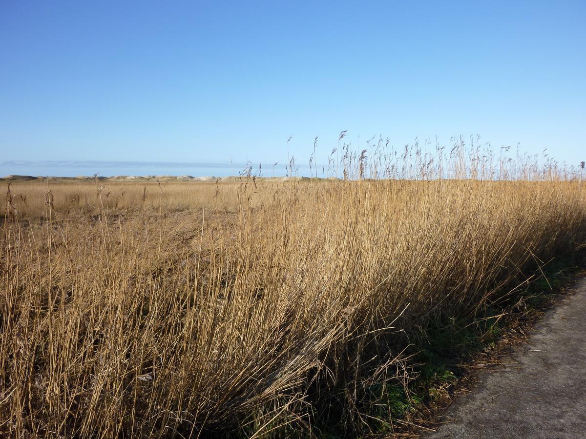 Nis Randers Apartment Sankt Peter-Ording